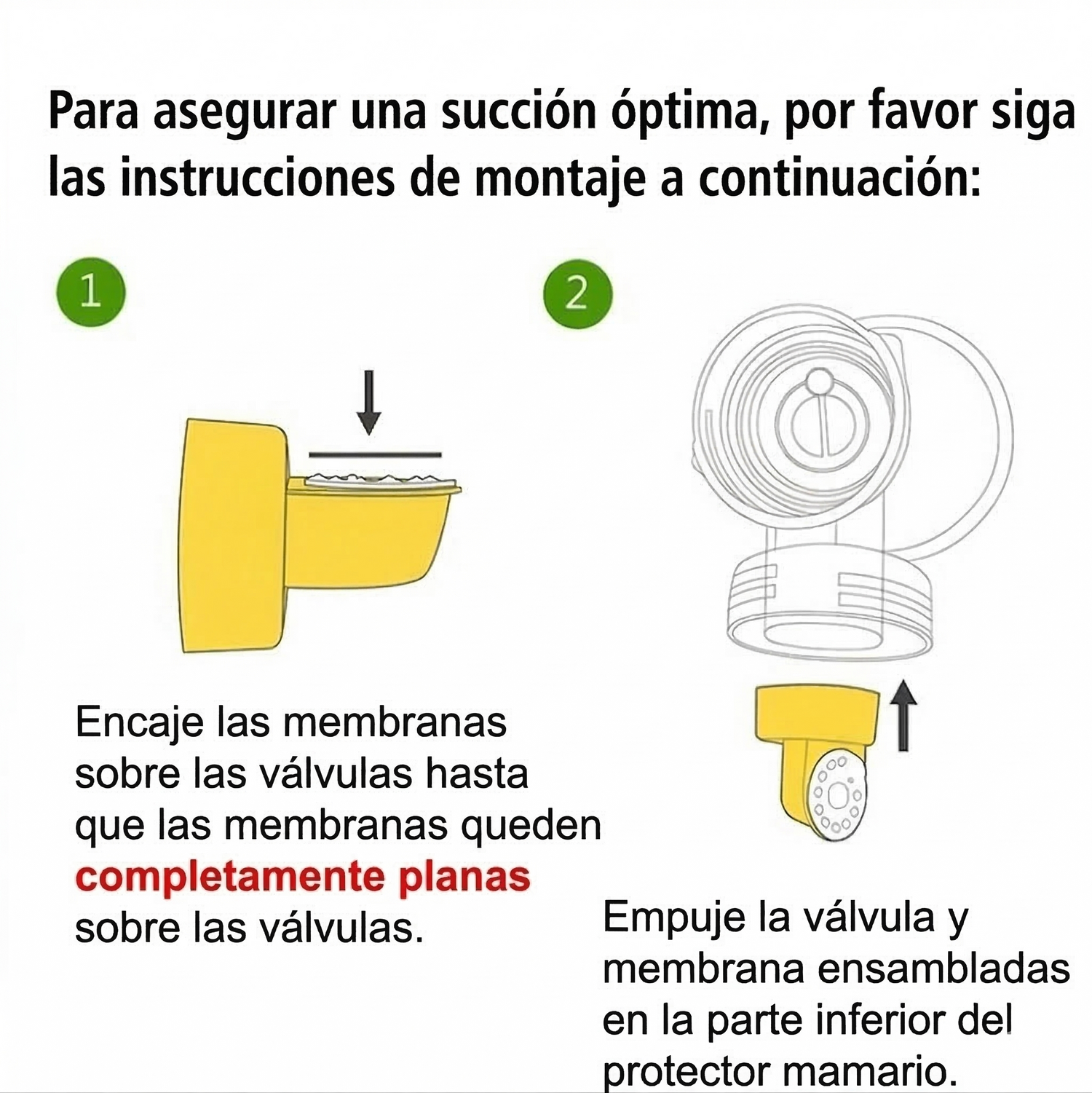 Dos Válvulas con Membrana